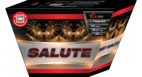 Salute 54 ran / 20mm